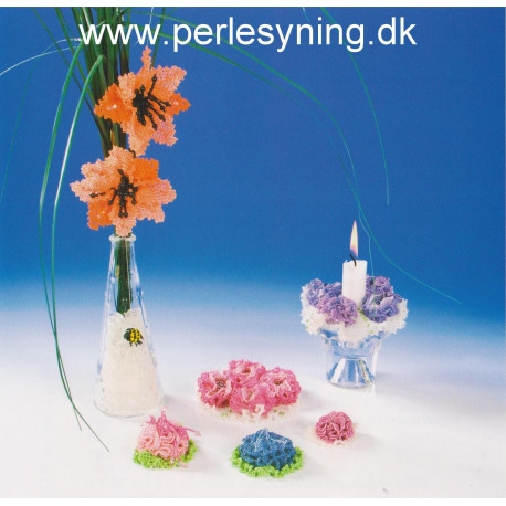 2010 nr 5 Elises perleopskrift