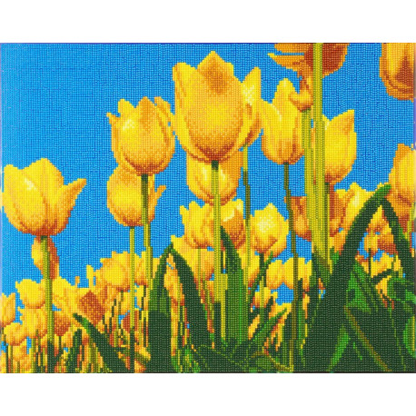 Tulipaner 40x50 cm Diamant Billede