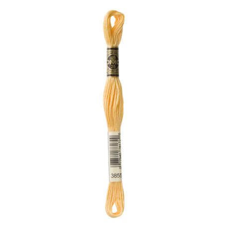 nr.3855 DMC Broderigarn