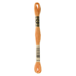 nr.3854 DMC Broderigarn