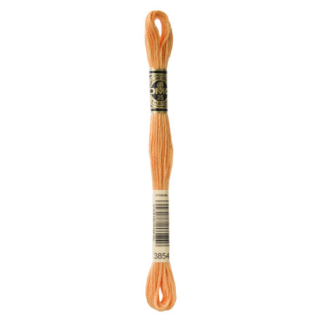nr.3854 DMC Broderigarn