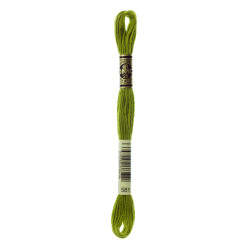 nr.581 DMC Broderigarn
