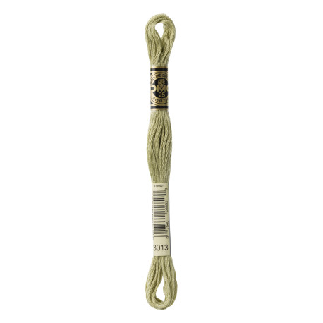 nr.3013 DMC Broderigarn