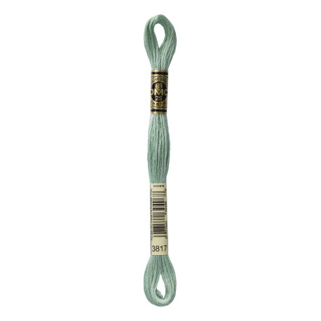 nr.3817 DMC Broderigarn