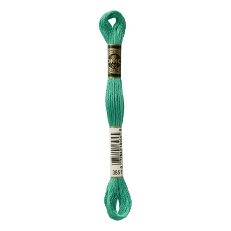 nr.3851 DMC Broderigarn